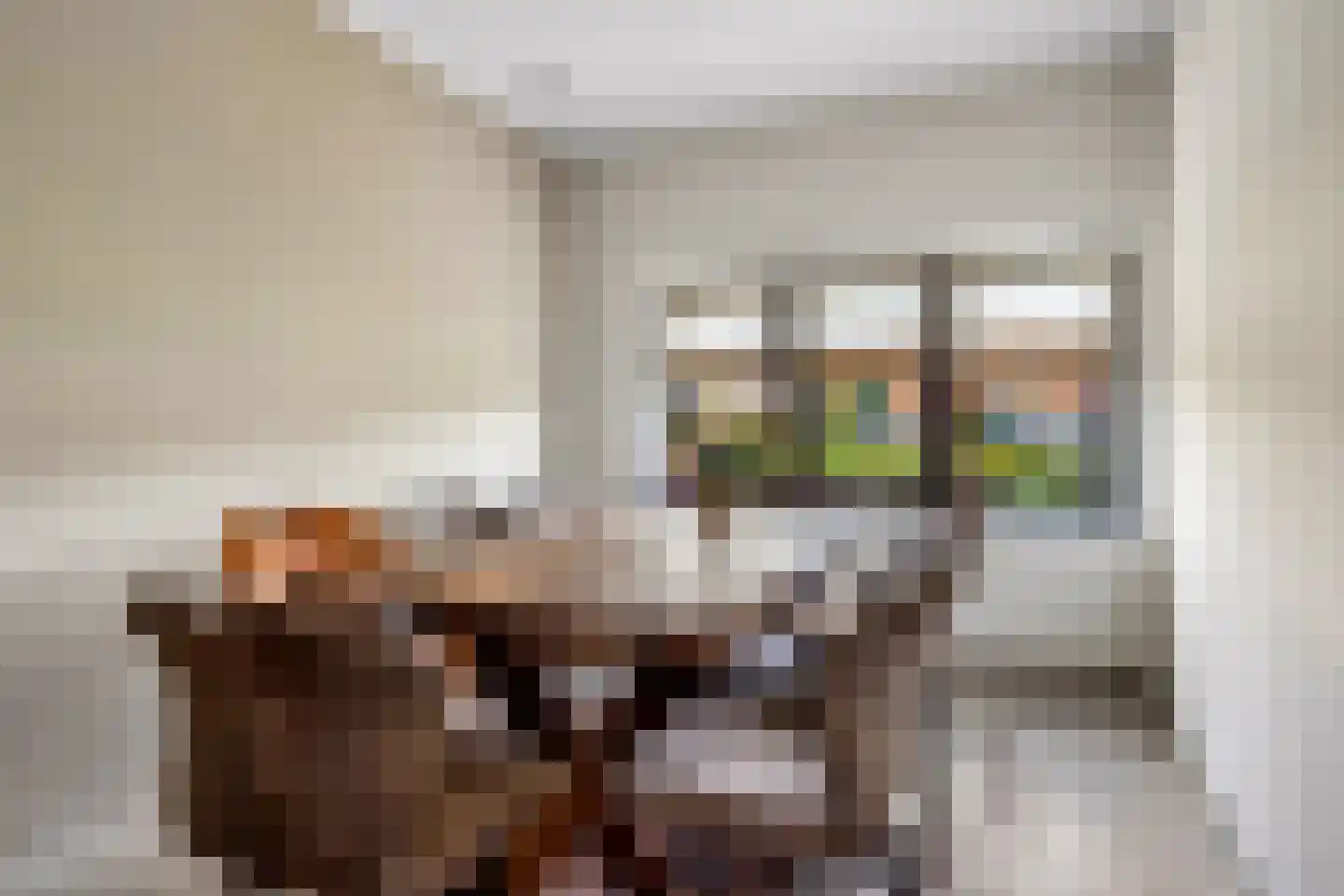 Meester Nelissenstraat 17 Beltrum thumbnail 18
