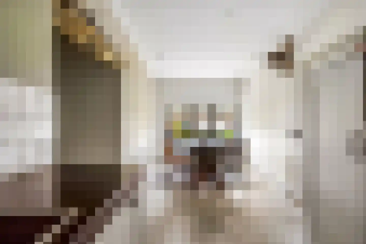 Meester Nelissenstraat 17 Beltrum thumbnail 19