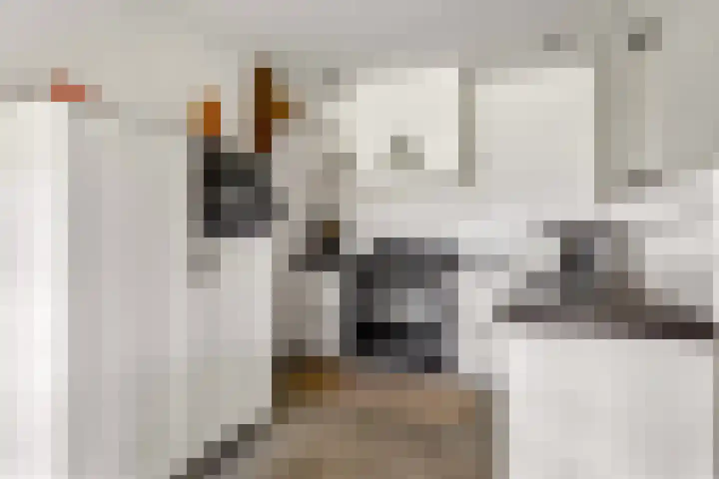 Meester Nelissenstraat 17 Beltrum thumbnail 20