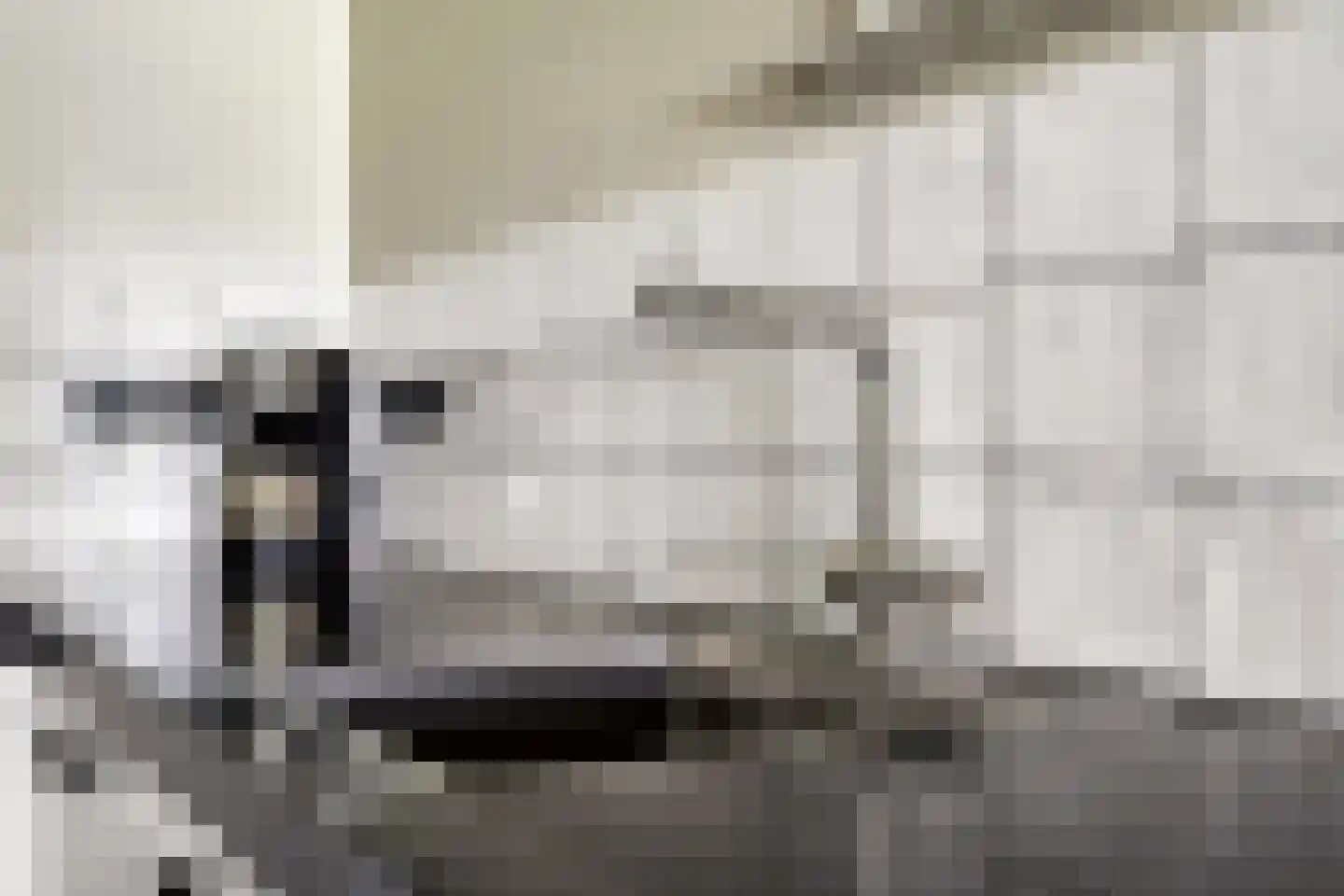 Meester Nelissenstraat 17 Beltrum thumbnail 23
