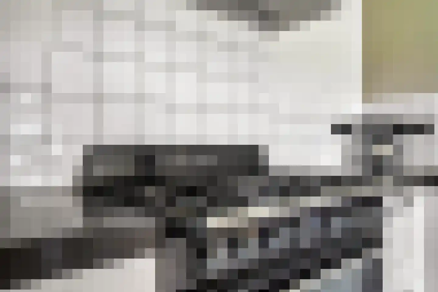 Meester Nelissenstraat 17 Beltrum thumbnail 24