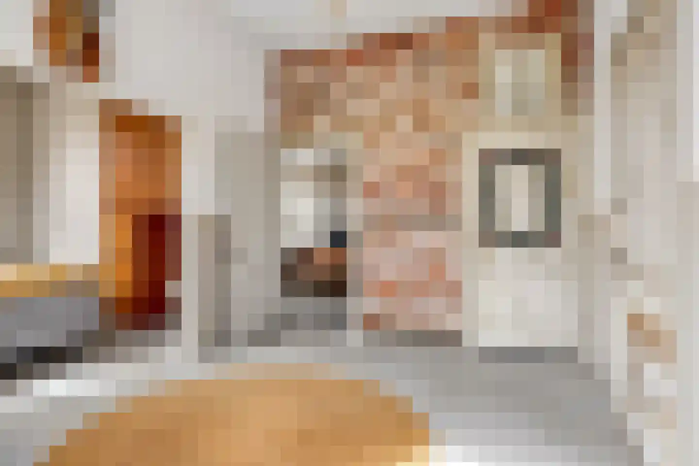 Meester Nelissenstraat 17 Beltrum thumbnail 26