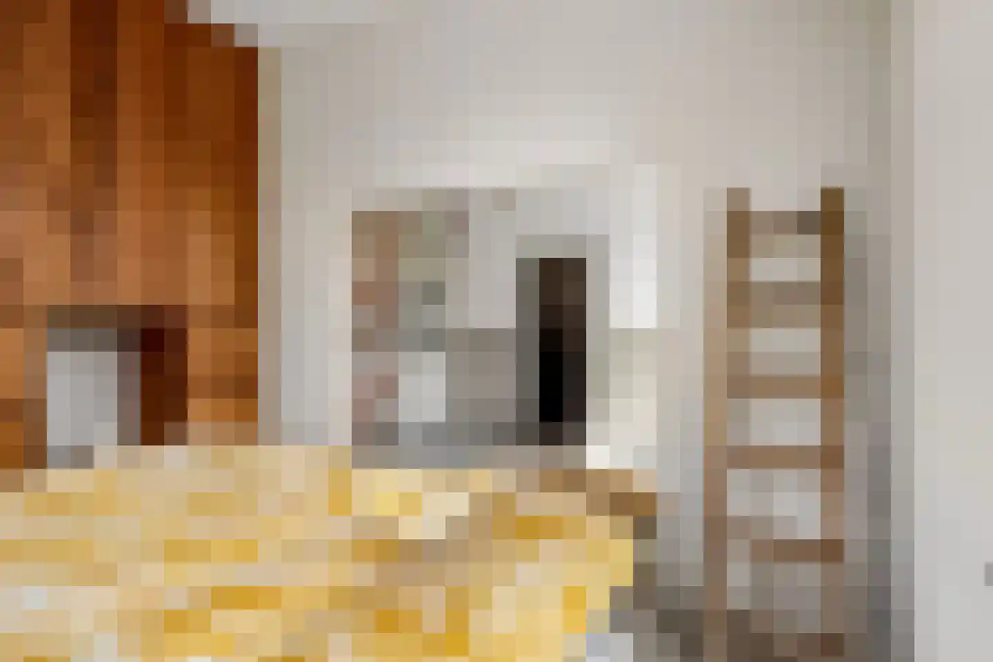 Meester Nelissenstraat 17 Beltrum thumbnail 27