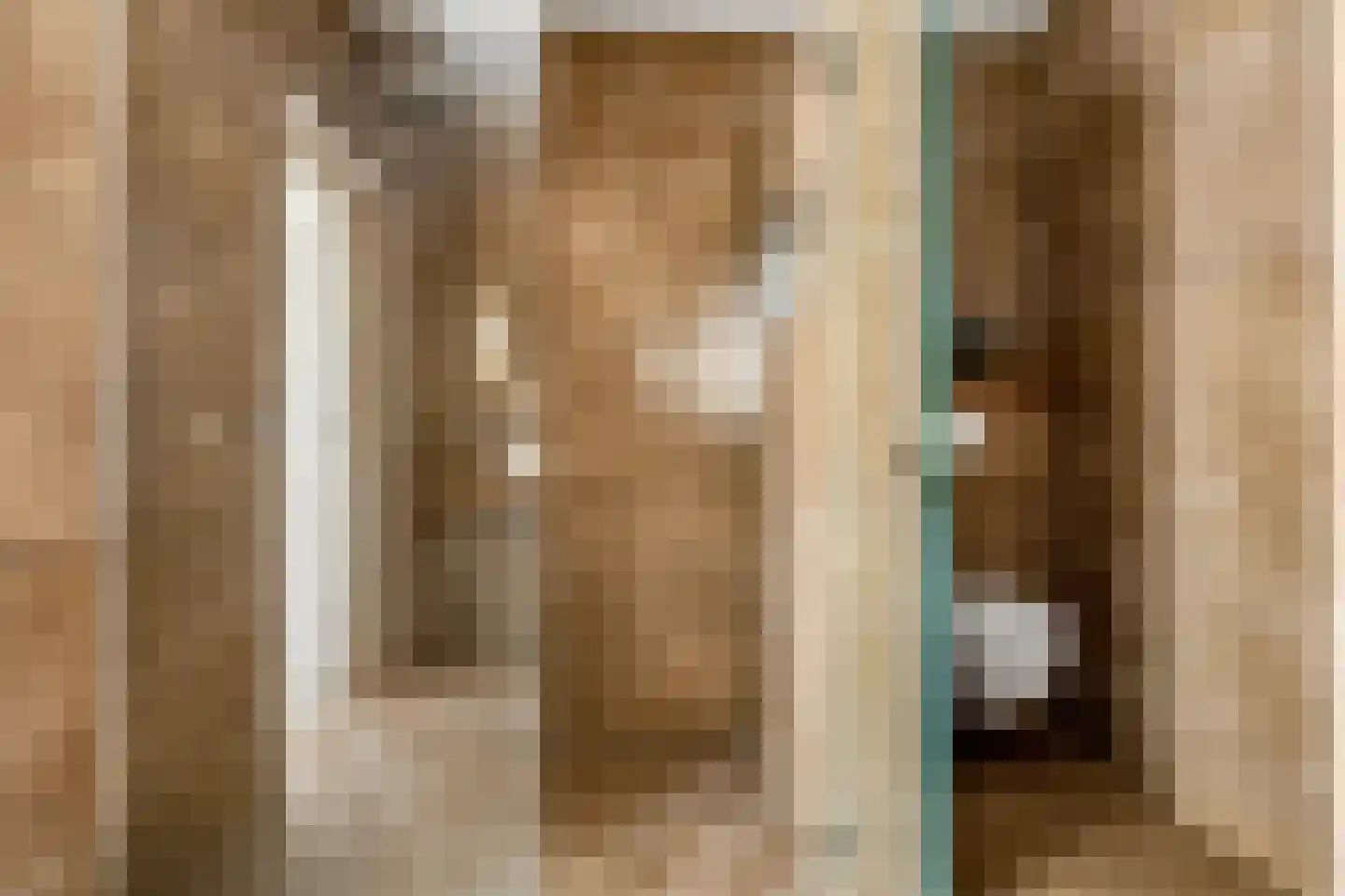 Meester Nelissenstraat 17 Beltrum thumbnail 30