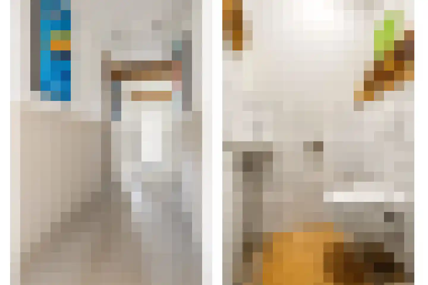 Meester Nelissenstraat 17 Beltrum thumbnail 35