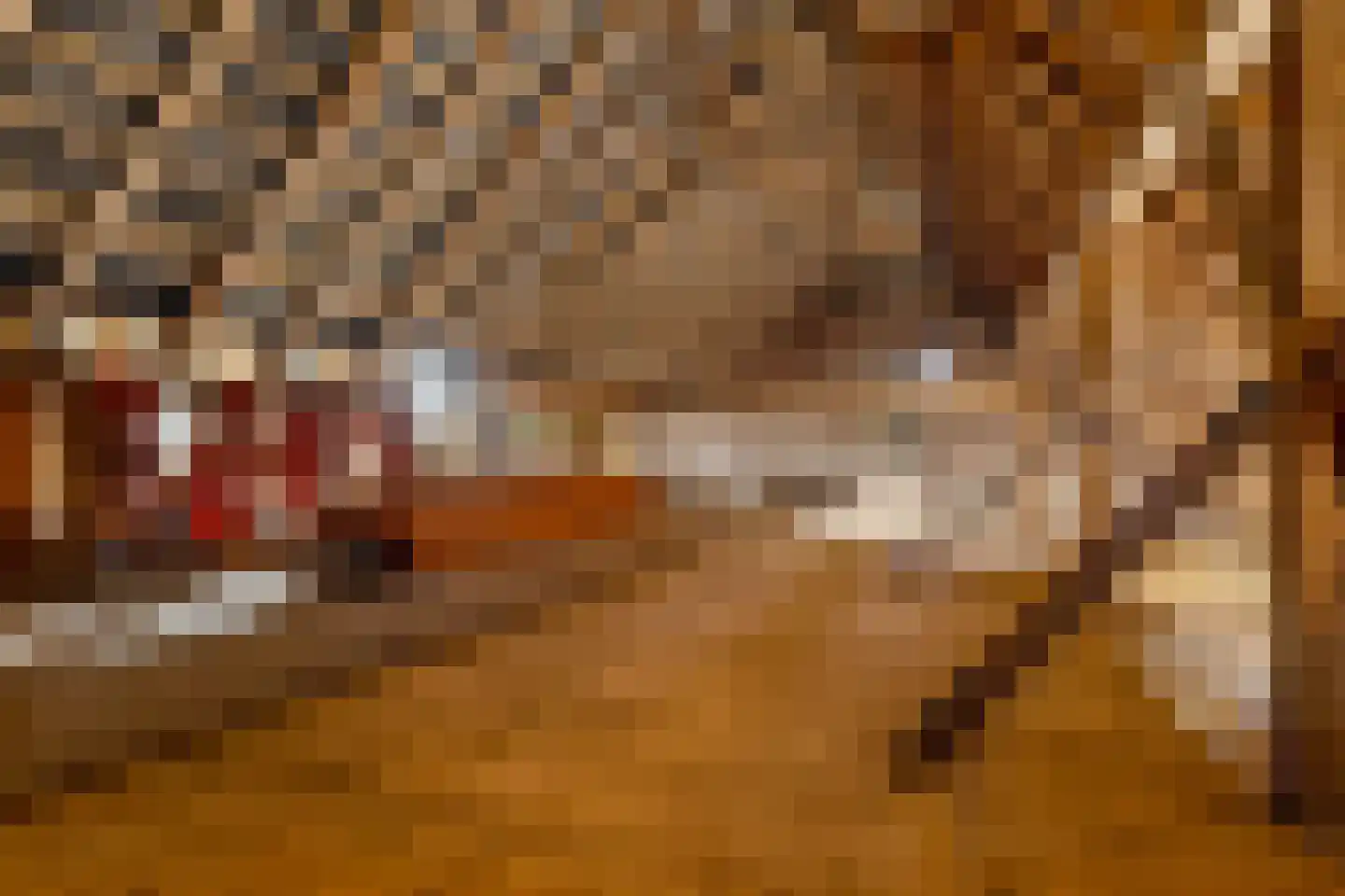 Meester Nelissenstraat 17 Beltrum thumbnail 37