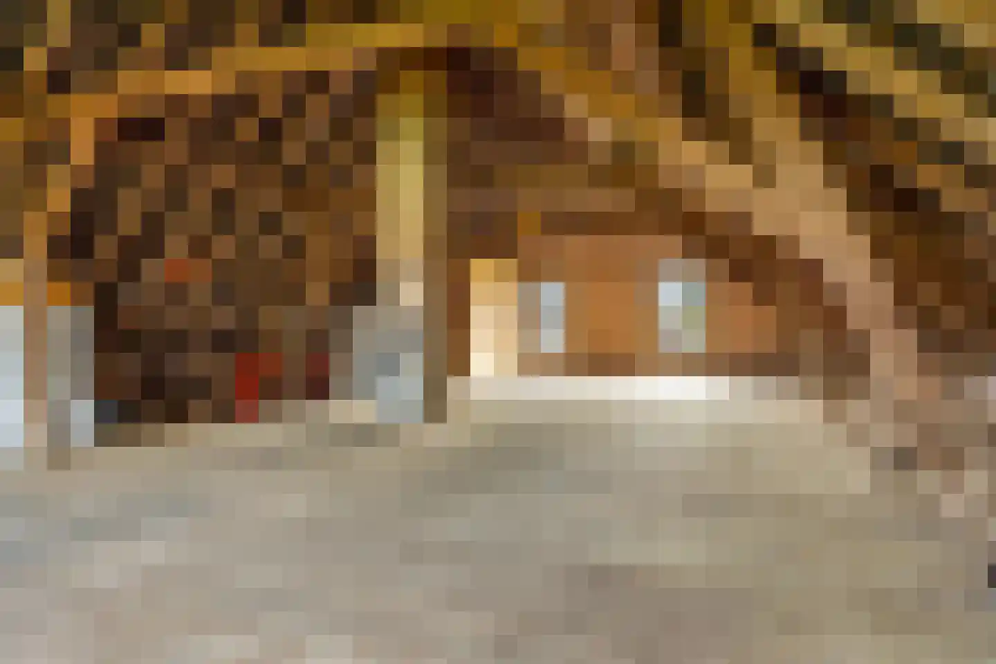 Meester Nelissenstraat 17 Beltrum thumbnail 38