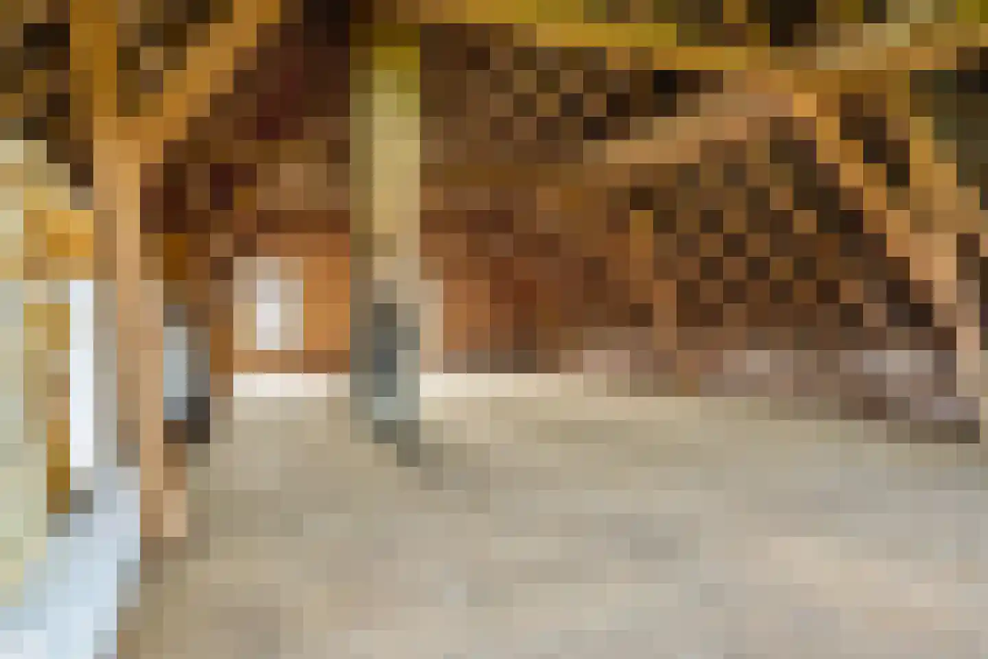 Meester Nelissenstraat 17 Beltrum thumbnail 39