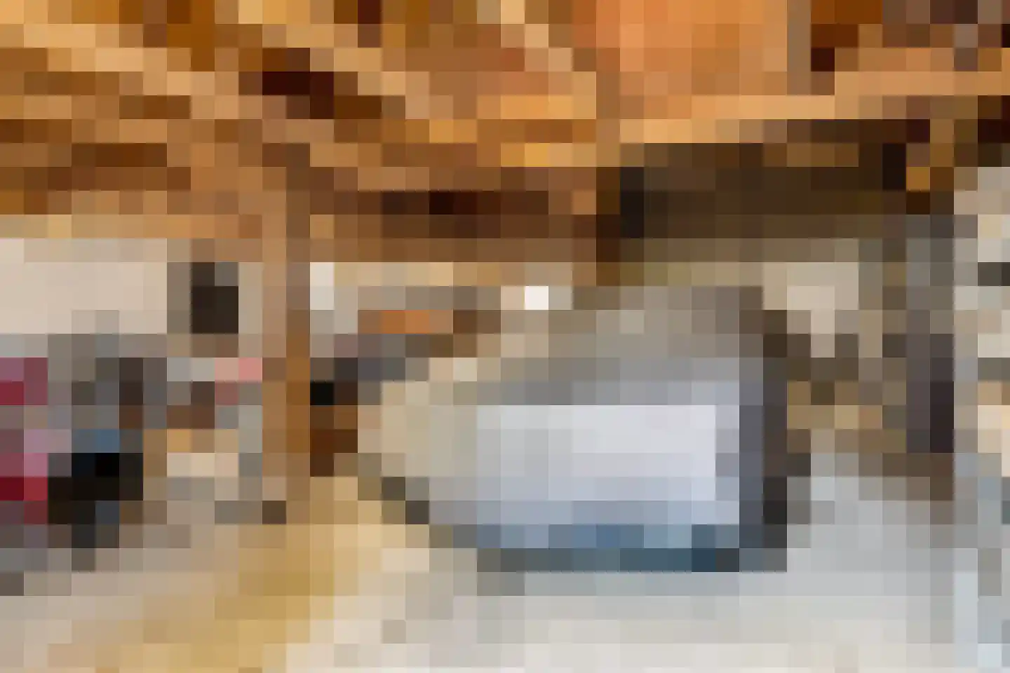 Meester Nelissenstraat 17 Beltrum thumbnail 43