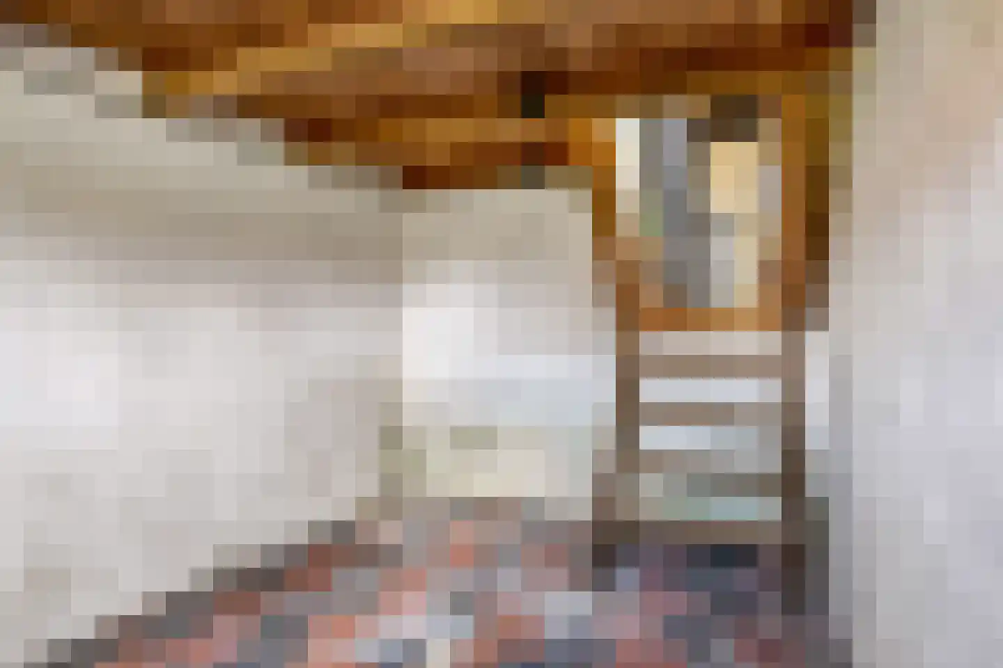 Meester Nelissenstraat 17 Beltrum thumbnail 44