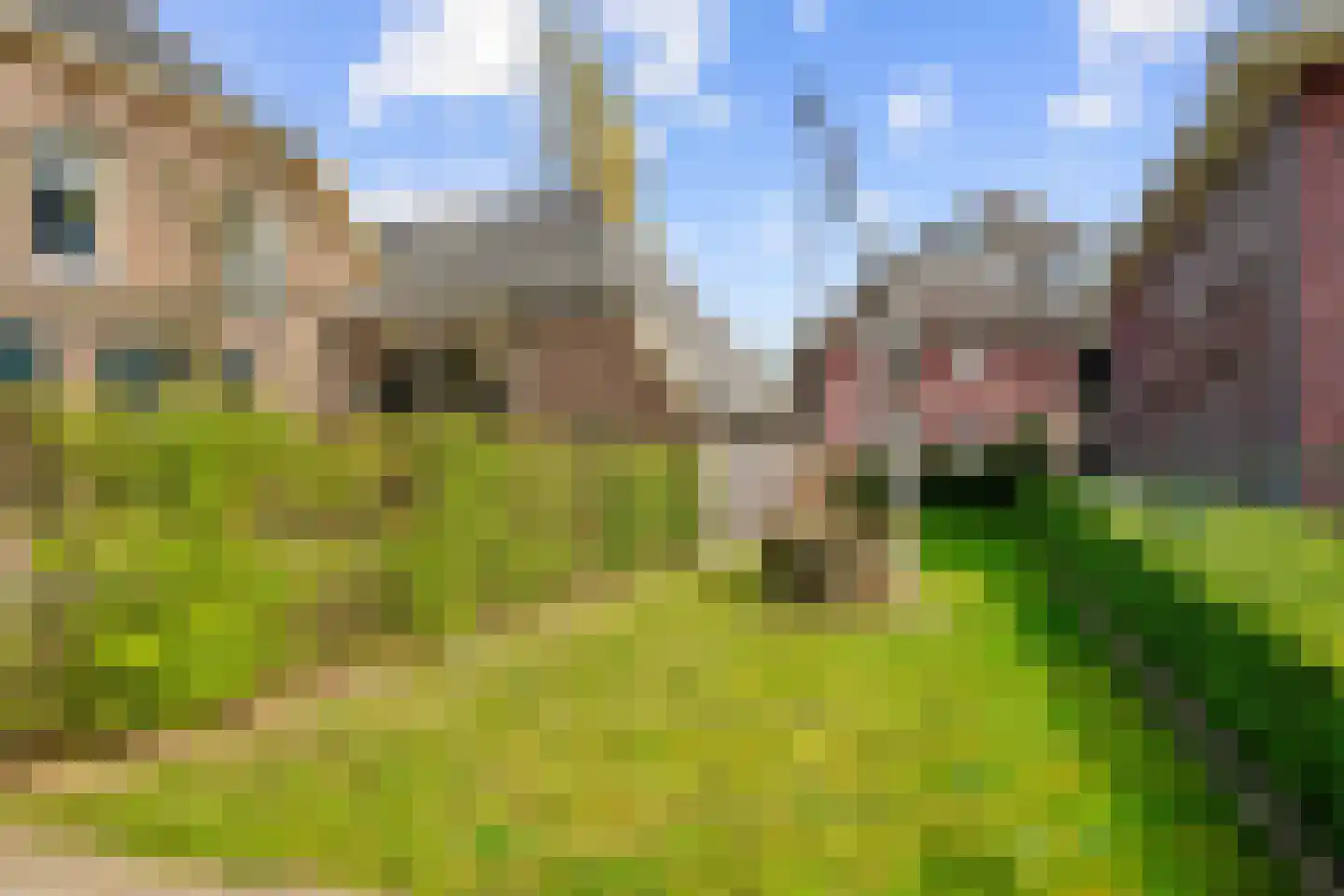 Meester Nelissenstraat 17 Beltrum thumbnail 47