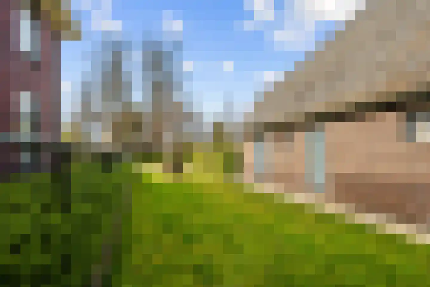 Meester Nelissenstraat 17 Beltrum thumbnail 48