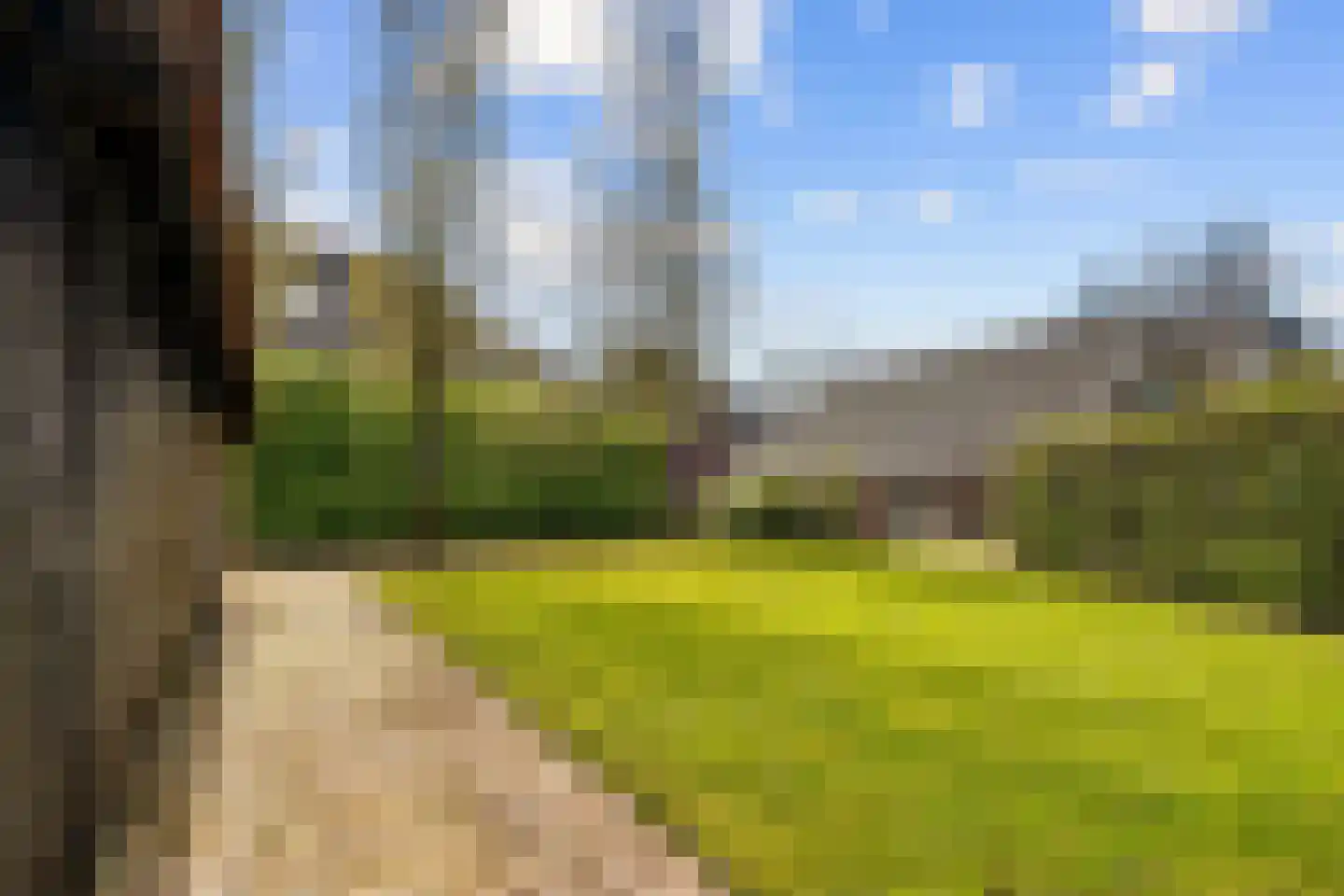 Meester Nelissenstraat 17 Beltrum thumbnail 54