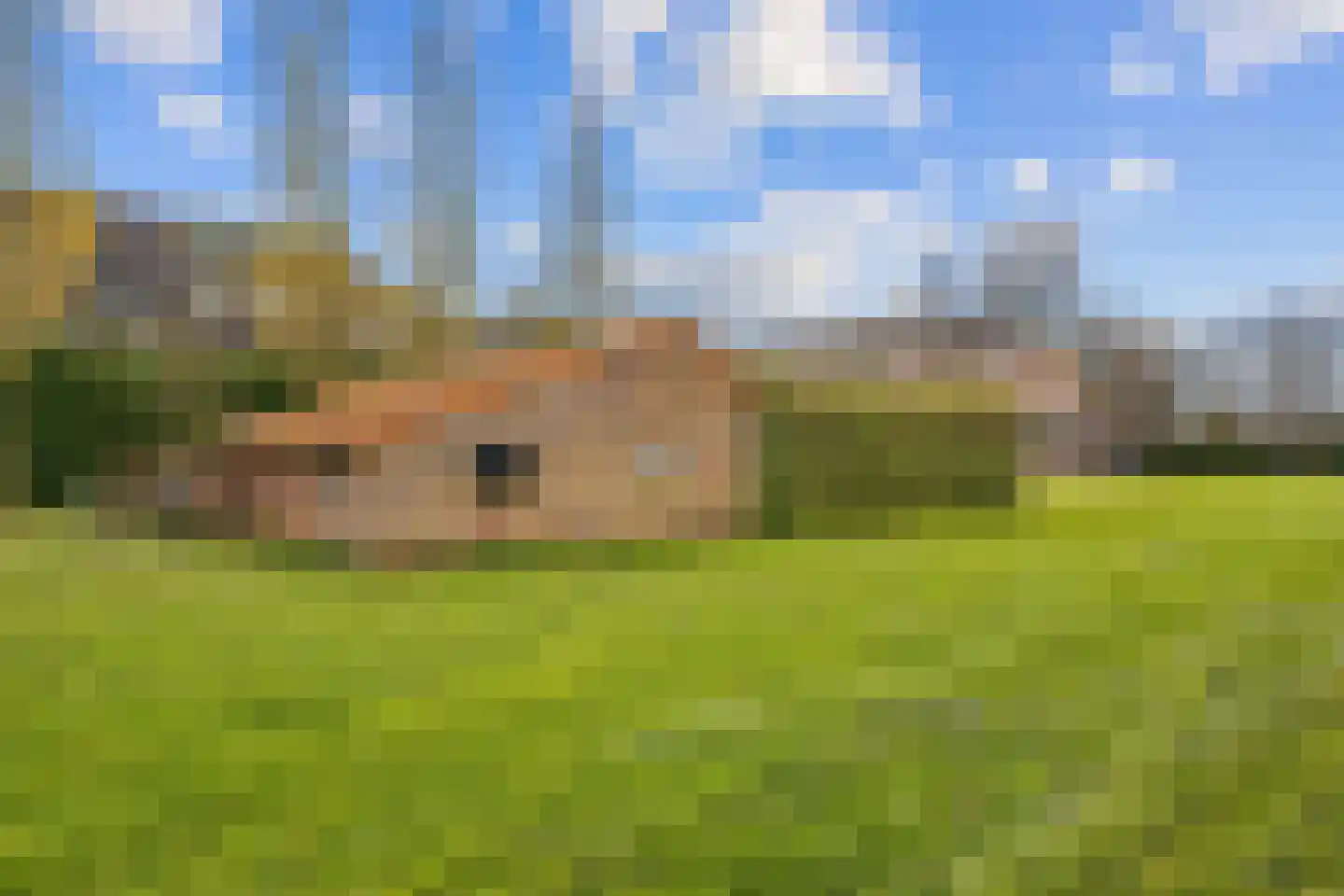 Meester Nelissenstraat 17 Beltrum thumbnail 56