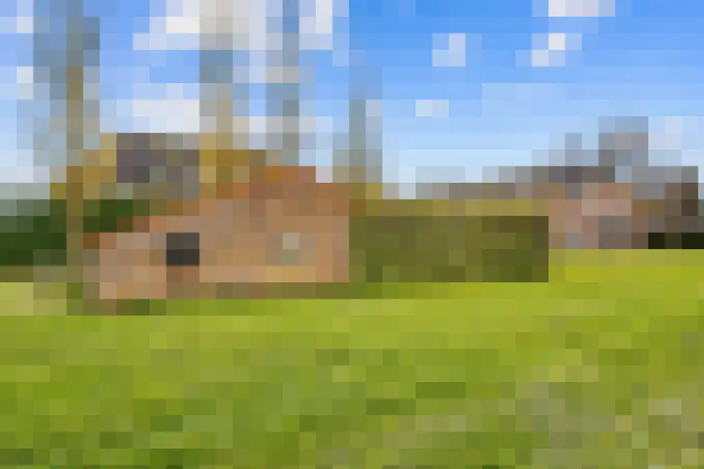 Meester Nelissenstraat 17 Beltrum thumbnail 57