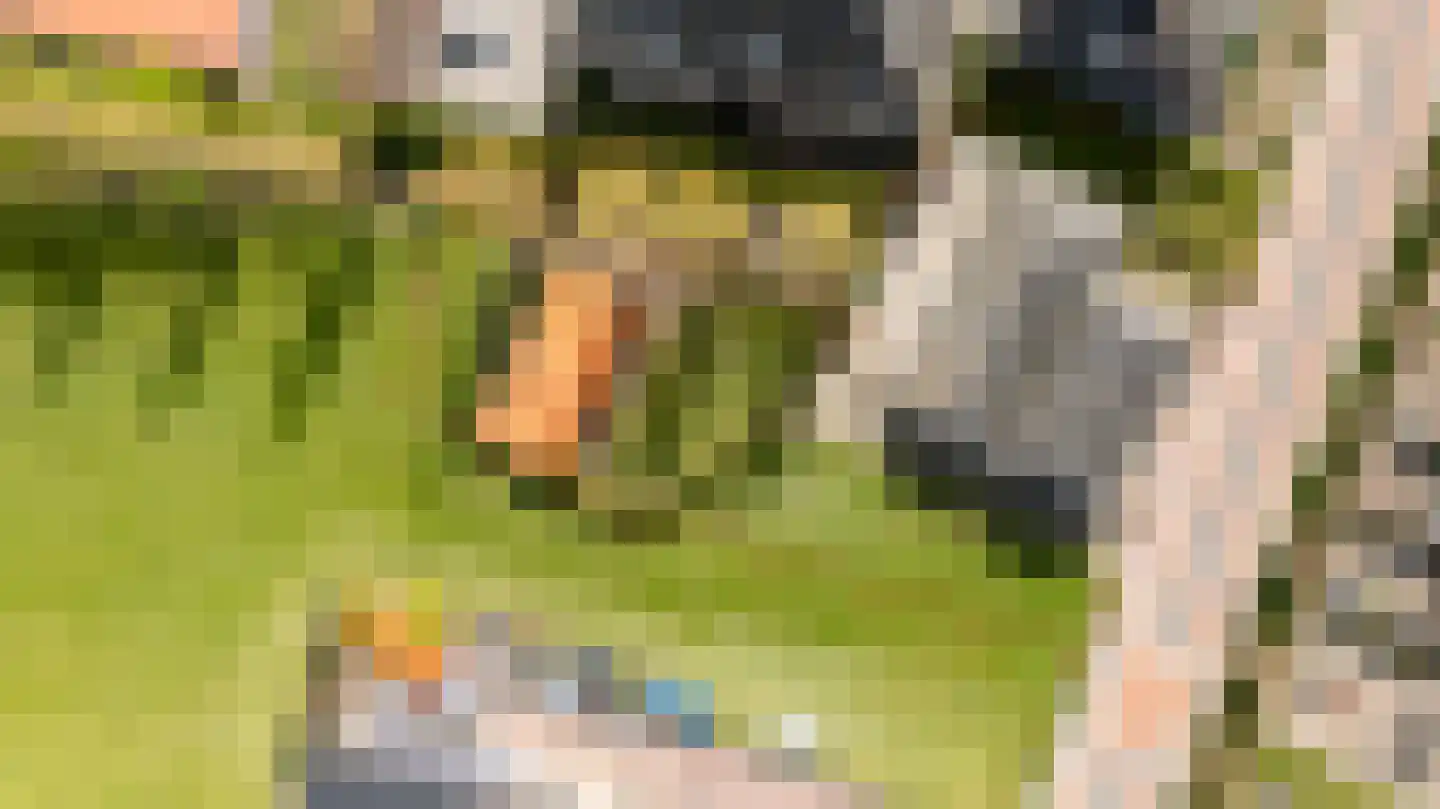 Meester Nelissenstraat 17 Beltrum thumbnail 61