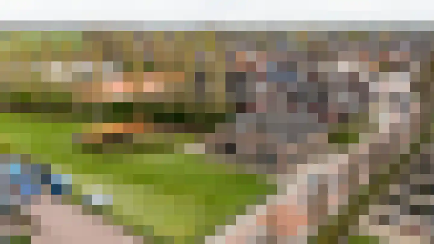 Meester Nelissenstraat 17 Beltrum thumbnail 65