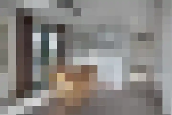 Meester Nelissenstraat 19 e Beltrum thumbnail 12