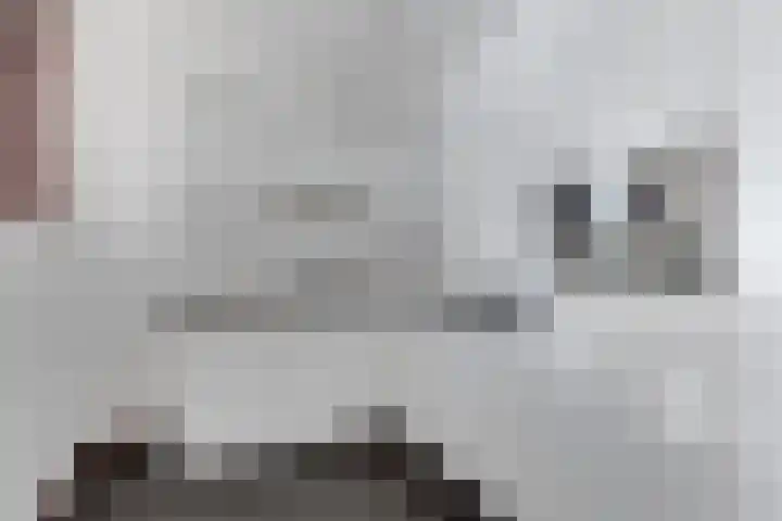 Meester Nelissenstraat 19 e Beltrum thumbnail 15