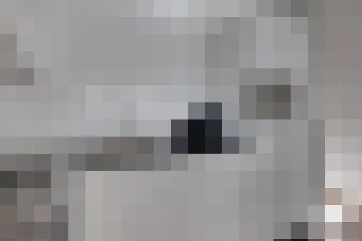 Meester Nelissenstraat 19 e Beltrum thumbnail 16