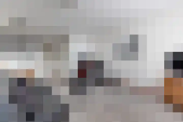 Meester Nelissenstraat 19 e Beltrum thumbnail 7