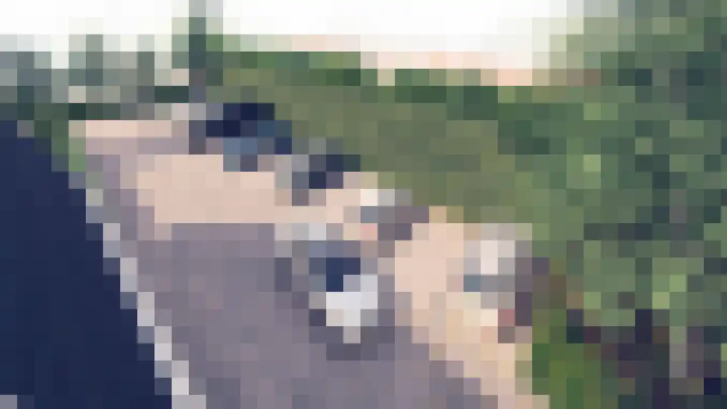 Meester Nelissenstraat 9 Beltrum thumbnail 11