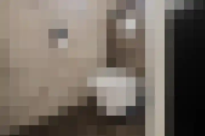 Meester Nennstiehlweg 40 De Wilp thumbnail 13