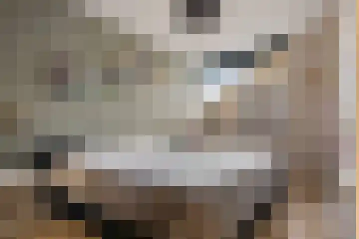 Meester Nennstiehlweg 40 De Wilp thumbnail 18