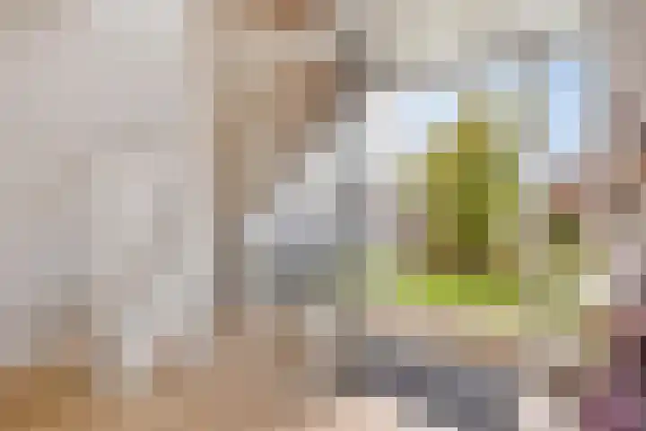 Meester Nennstiehlweg 40 De Wilp thumbnail 21
