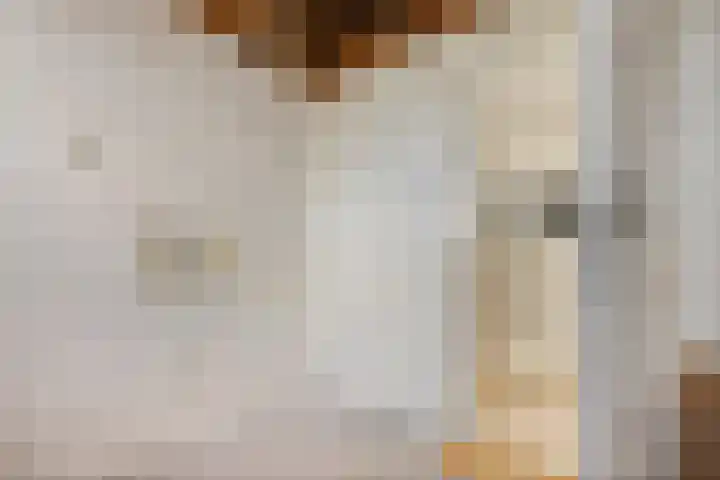 Meester Nennstiehlweg 40 De Wilp thumbnail 30