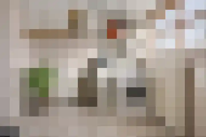 Meester Nennstiehlweg 40 De Wilp thumbnail 32