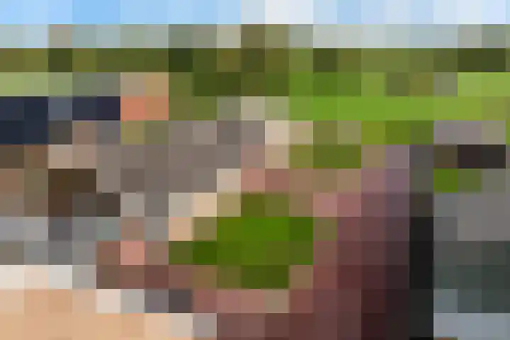 Meester Nennstiehlweg 40 De Wilp thumbnail 35