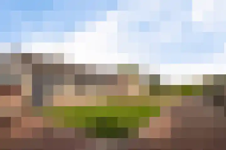 Meester Nennstiehlweg 40 De Wilp thumbnail 36