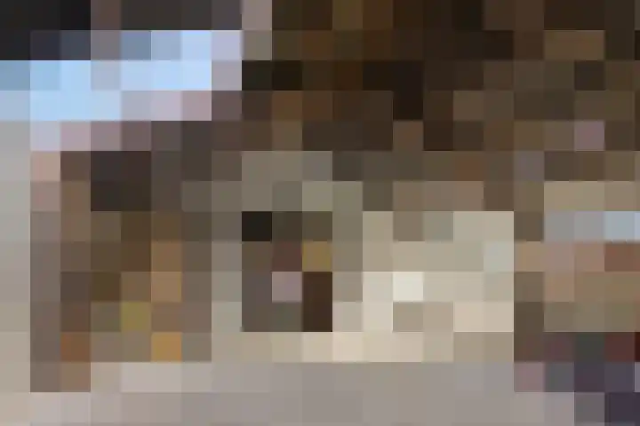 Meester Nennstiehlweg 40 De Wilp thumbnail 37