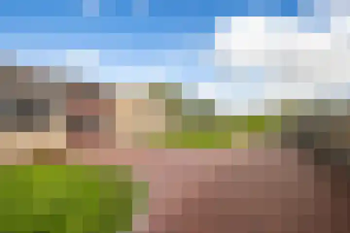Meester Nennstiehlweg 40 De Wilp thumbnail 42