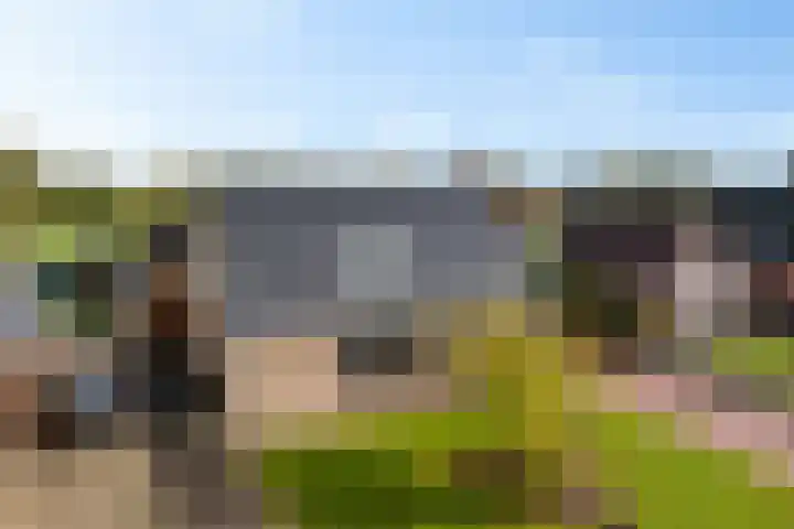 Meester Nennstiehlweg 40 De Wilp thumbnail 44