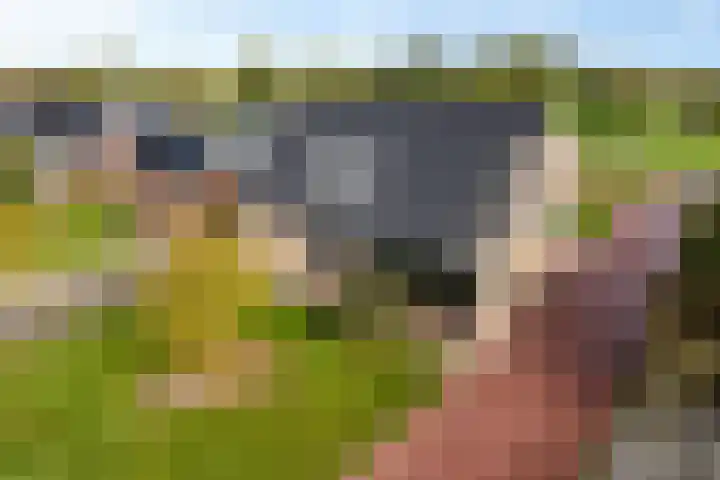 Meester Nennstiehlweg 40 De Wilp thumbnail 45