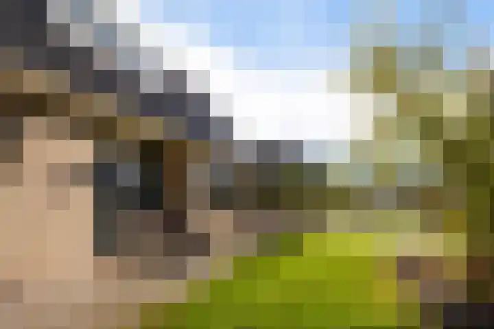 Meester Nennstiehlweg 40 De Wilp thumbnail 50