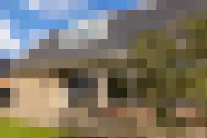 Meester Nennstiehlweg 40 De Wilp thumbnail 51