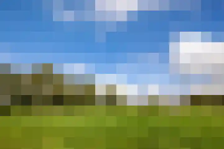 Meester Nennstiehlweg 40 De Wilp thumbnail 52