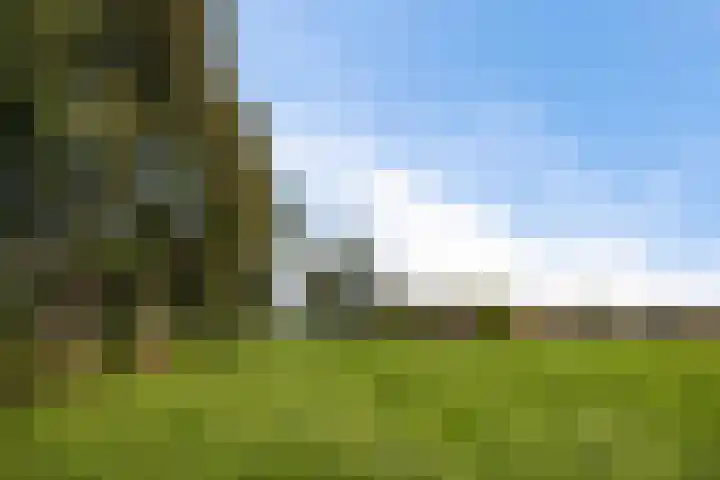 Meester Nennstiehlweg 40 De Wilp thumbnail 53
