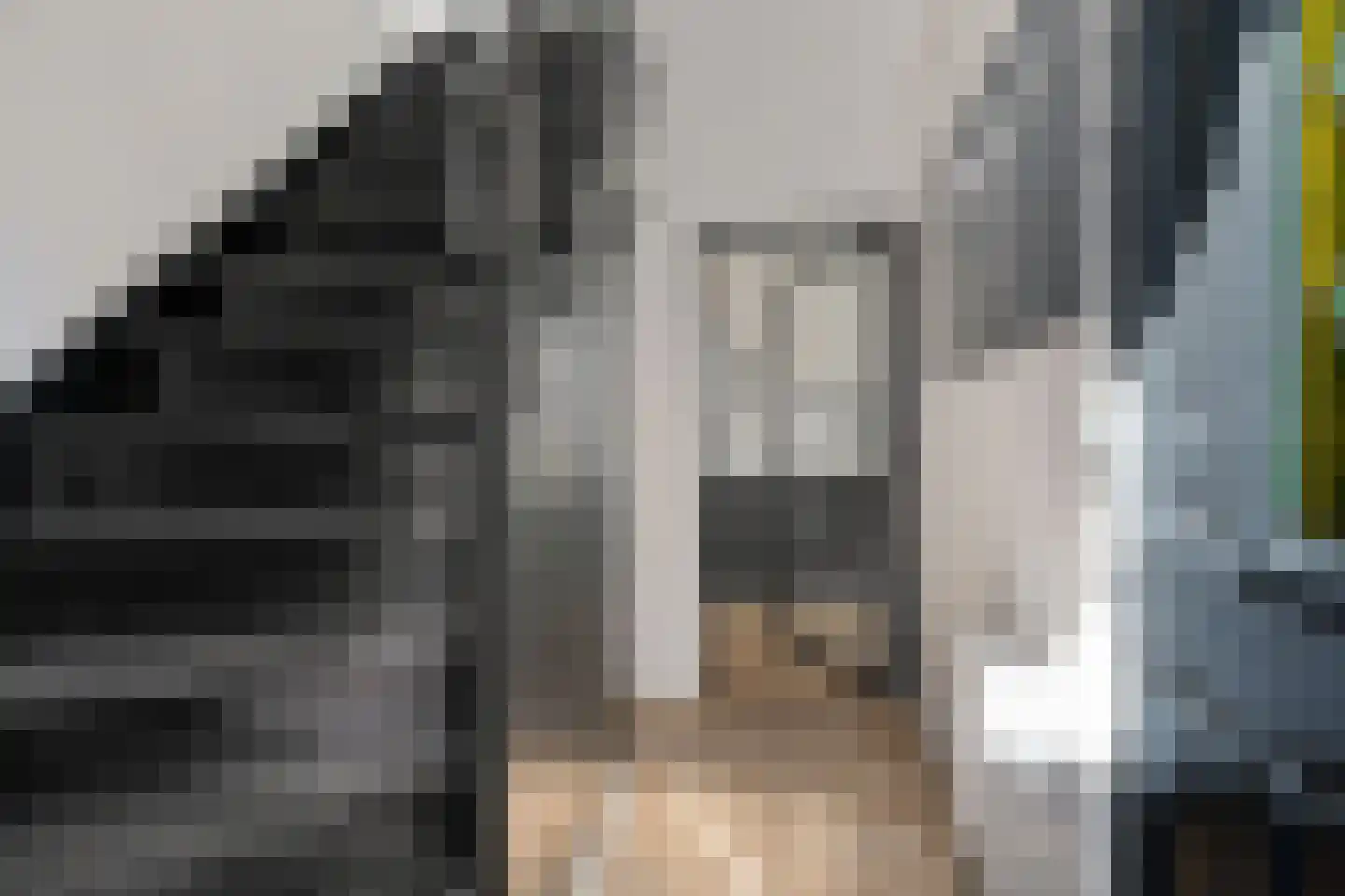 Meester Nennstiehlweg 43 De Wilp thumbnail 19