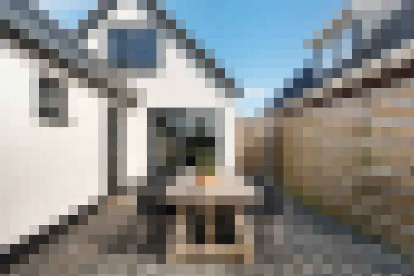 Meester Nennstiehlweg 43 De Wilp thumbnail 28