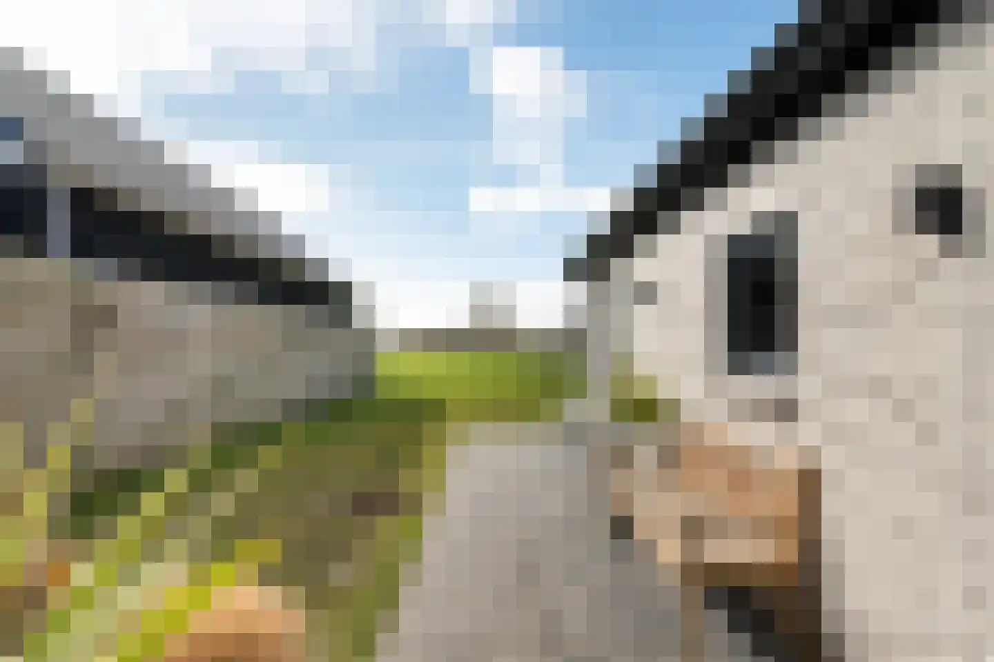 Meester Nennstiehlweg 43 De Wilp thumbnail 42