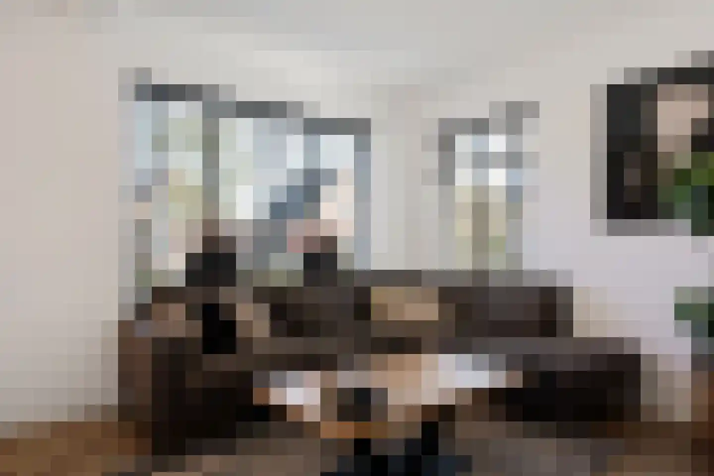 Meester Nennstiehlweg 43 De Wilp thumbnail 7