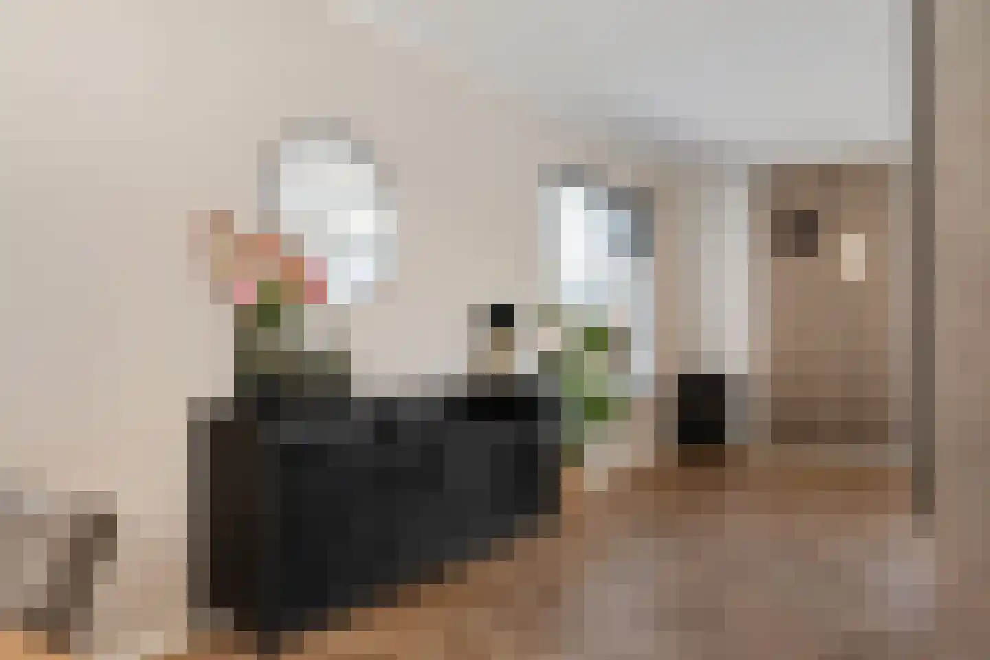 Meester Nennstiehlweg 43 De Wilp thumbnail 9