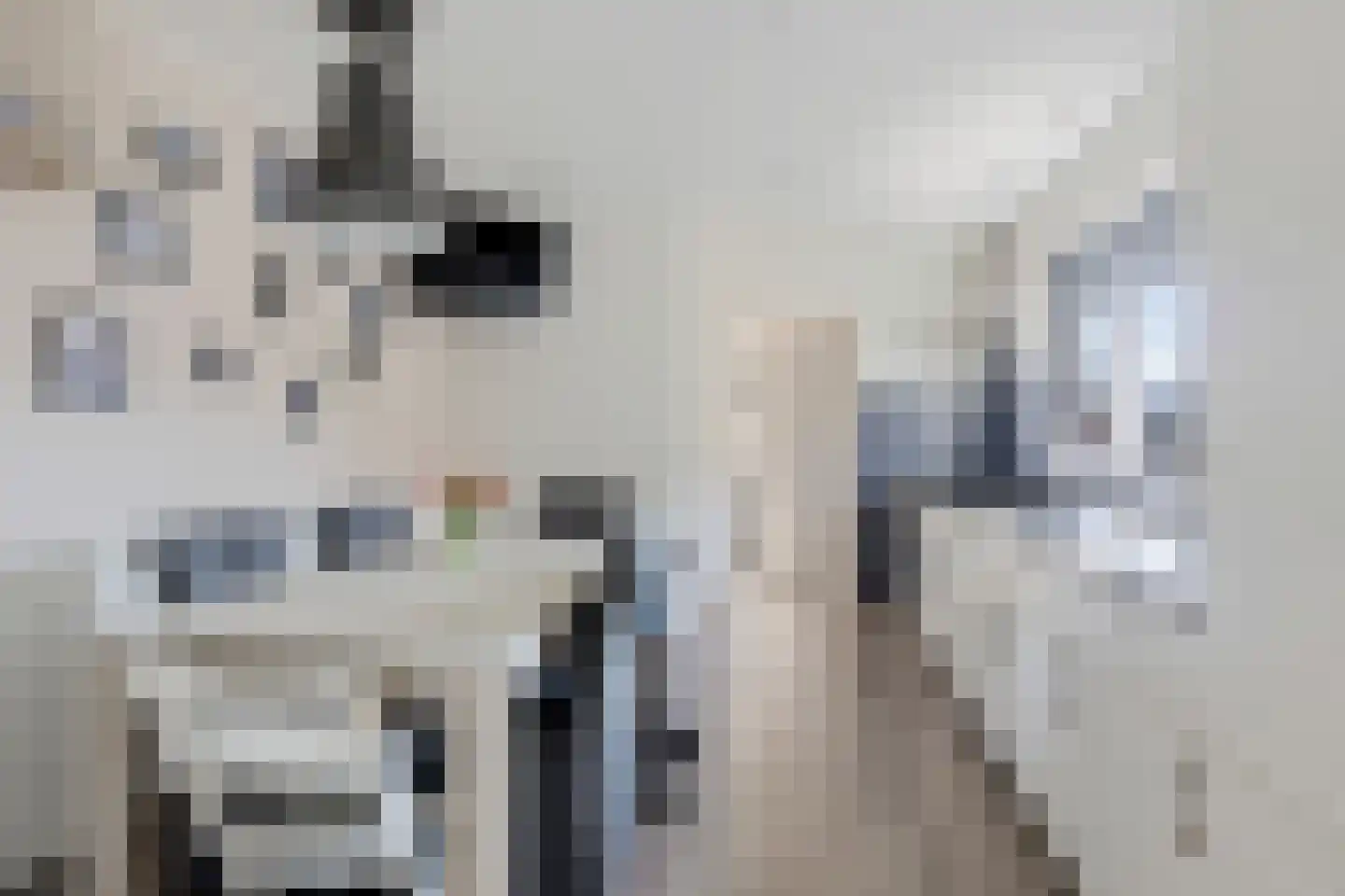 Meester Nennstiehlweg 45 De Wilp thumbnail 10