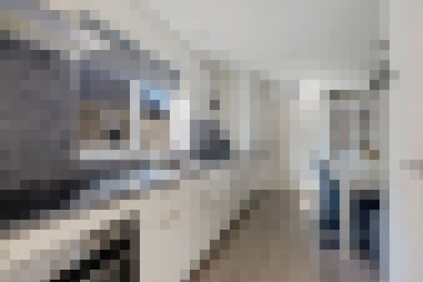 Meester Nennstiehlweg 45 De Wilp thumbnail 11