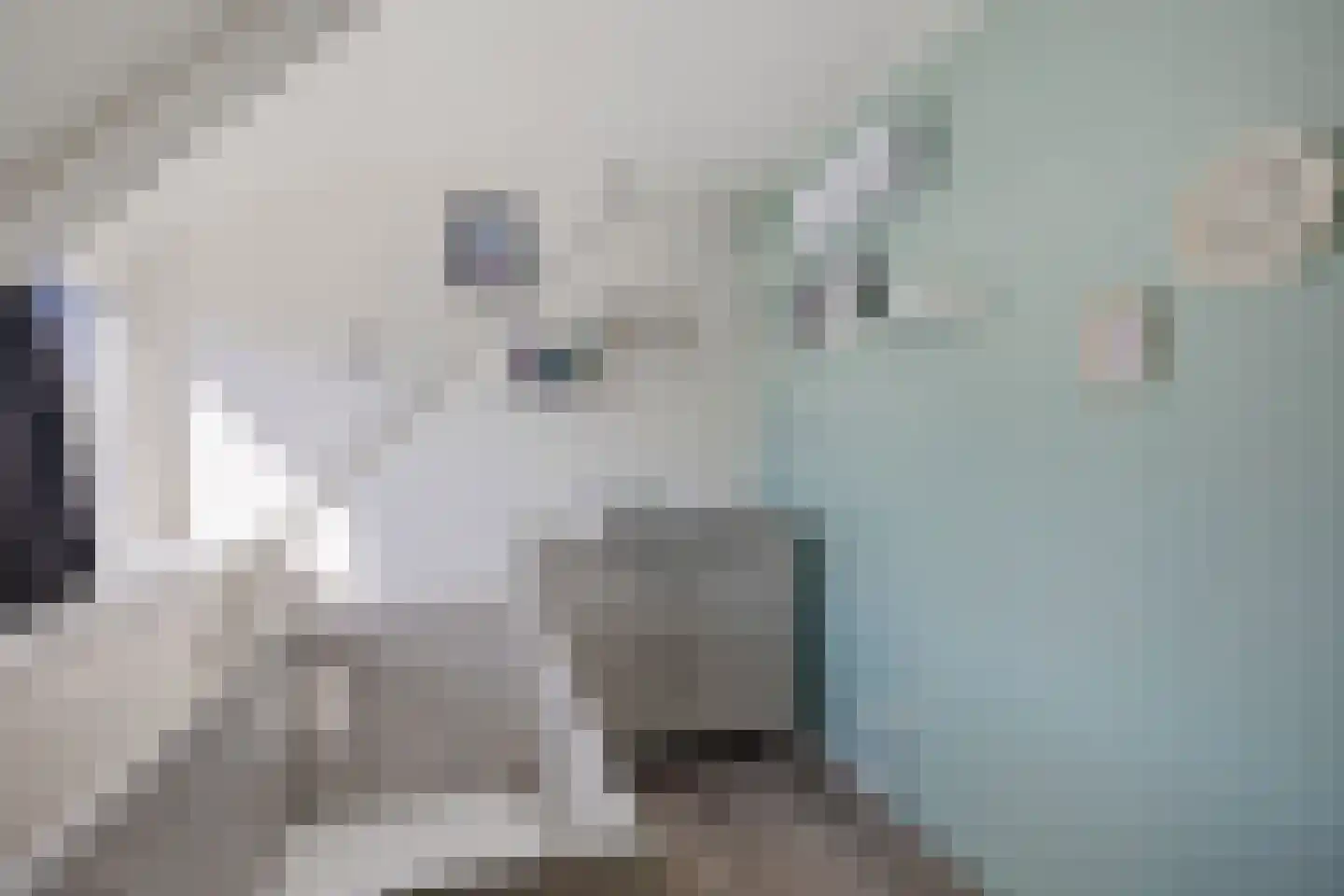 Meester Nennstiehlweg 45 De Wilp thumbnail 26