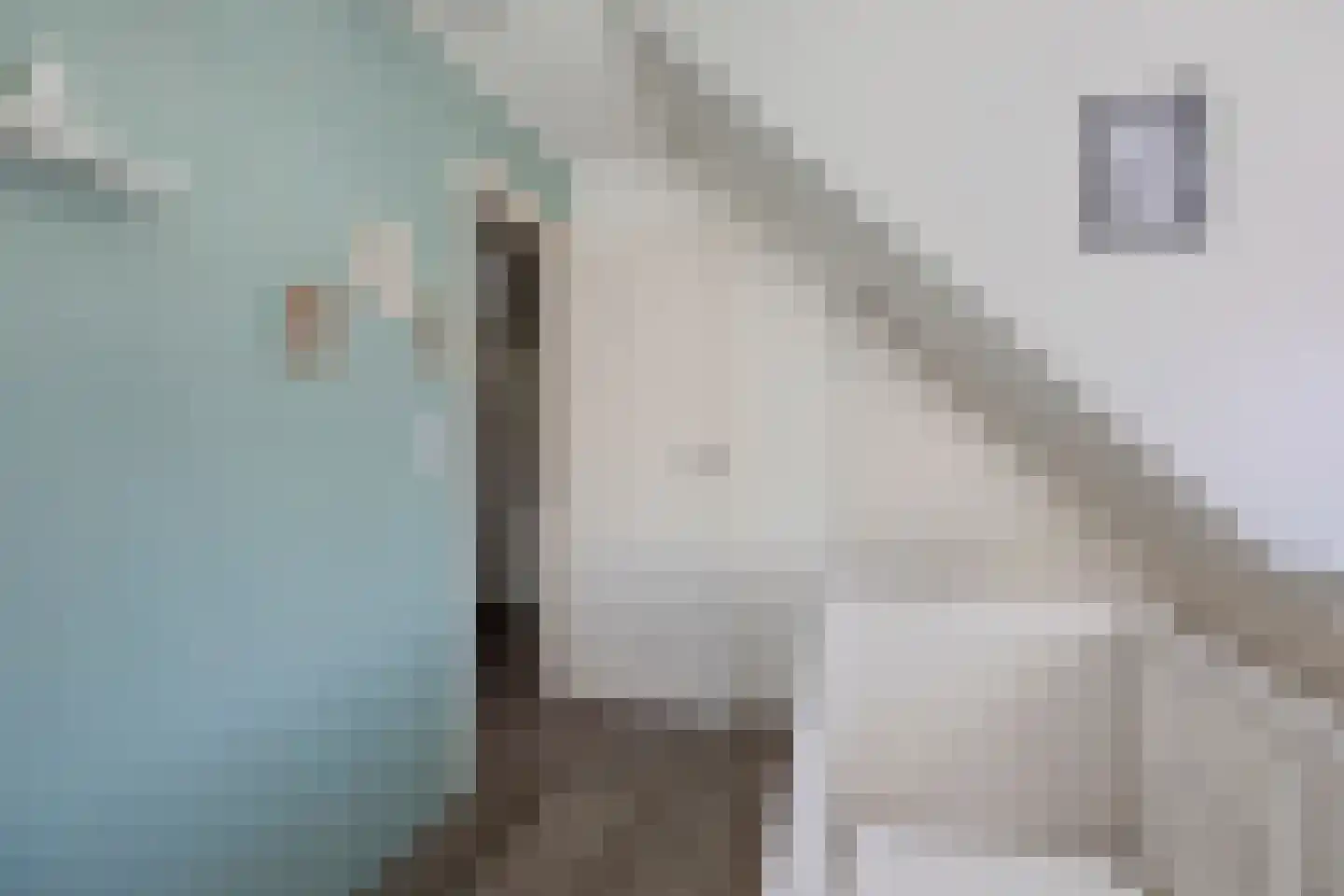 Meester Nennstiehlweg 45 De Wilp thumbnail 27